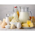 Dairy Products